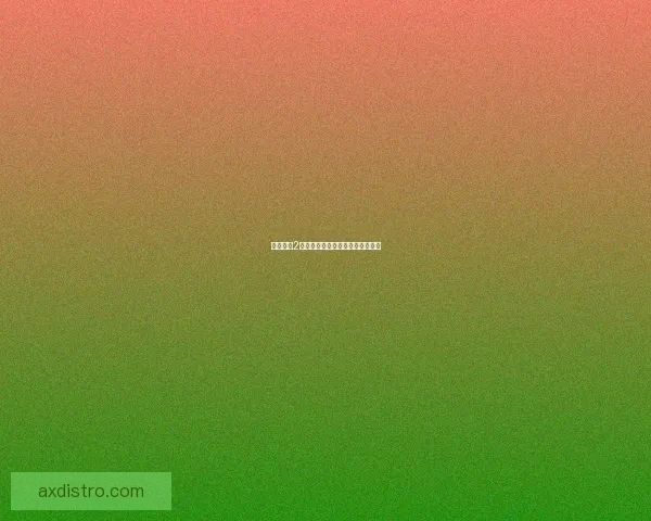 无主之地2装备系统深度解析与搭配策略指南